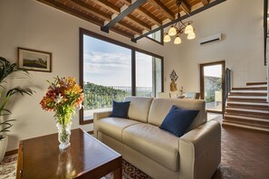 TV connectée, cheminée, jeux vidéo, lecteur de DVD