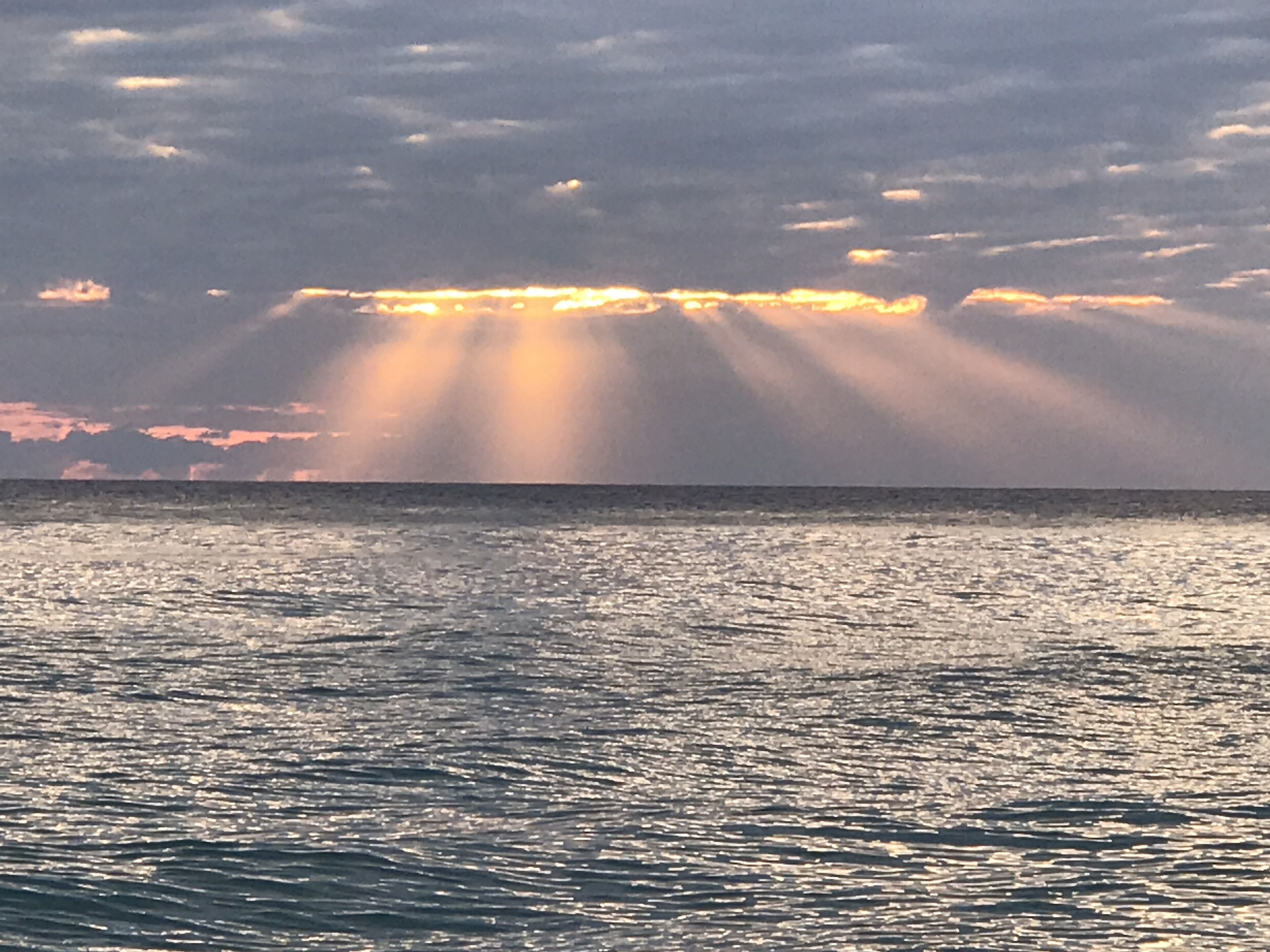 Plage, chaises longues, serviettes de plage