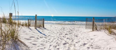 On the beach