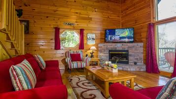 Televisión, chimenea, videojuegos y reproductor de DVD