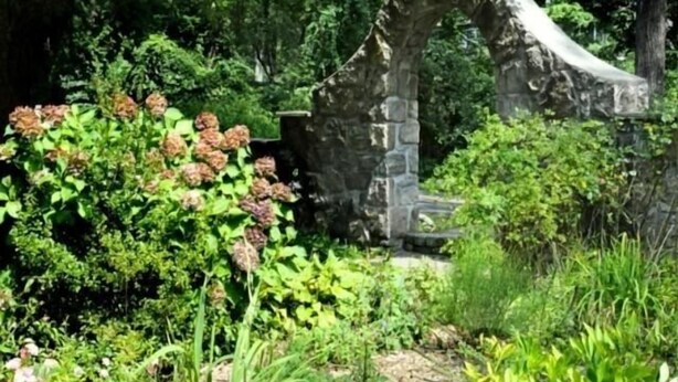 Un jardin extérieur agrémenté d’une arche en pierre, entouré d’une végétation luxuriante et de plantes en fleurs.