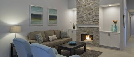 Télévision à écran plat, cheminée, lecteur de DVD