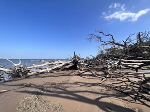 On the beach, sun loungers
