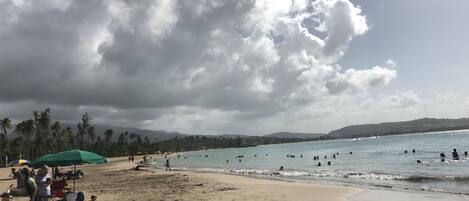 Una playa con gente nadando y tomando el sol, palmeras y un cielo nublado.