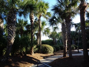 Enceinte de l’hébergement