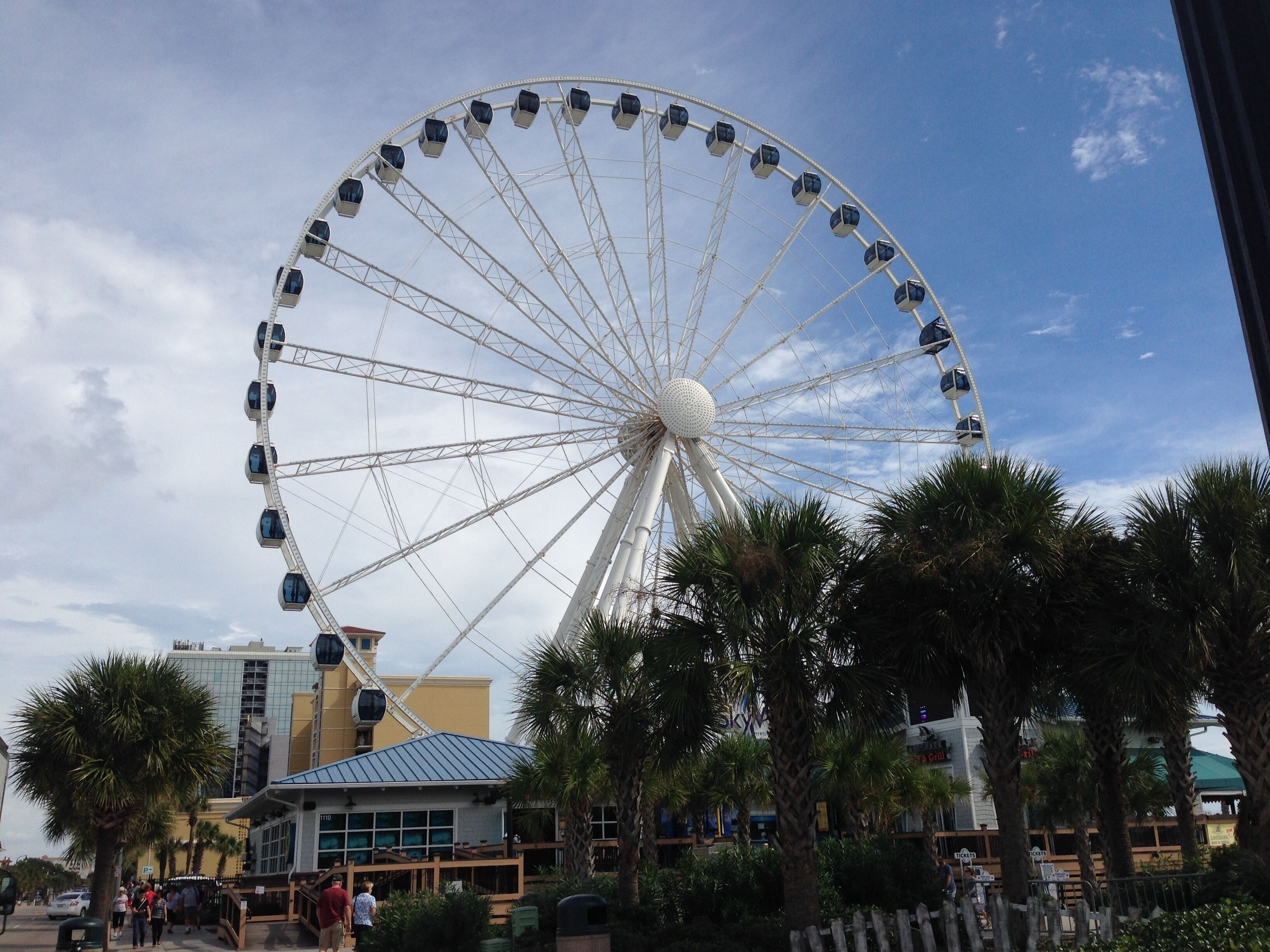 Une grande roue avec des cabines, entourée de palmiers et d’immeubles.