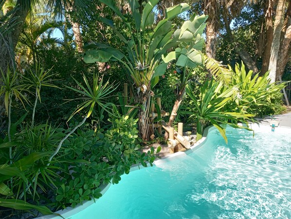 Pool - Newly Renovated Island Pool Home
(Captiva)