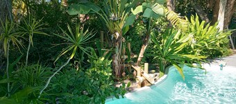 Newly Renovated Island Pool Home
