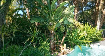 Vastikään uusittu Island Pool Home elokuu Special $ 1500 / week