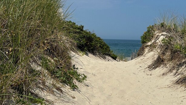 A sandy beach path leading to the ocean, surrounded by dunes and vegetation. - Cottage is on a PRIVATE BEACH shared between two houses.  (East Sandwich)