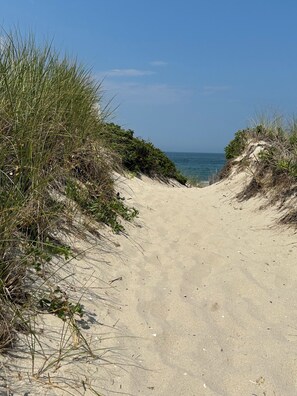 A sandy beach path leading to the ocean, surrounded by dunes and vegetation.