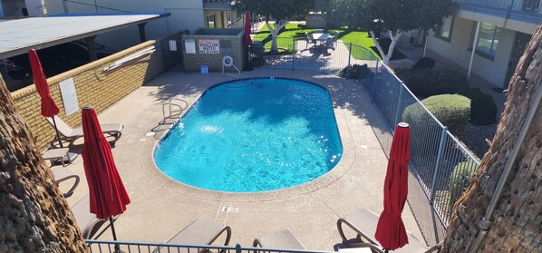A swimming pool with a shallow water warning sign, surrounded by lounge chairs and umbrellas, with a brick wall and a fenced area in the background.