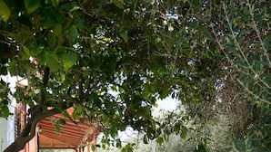 Garden - Family Home With Private Garden Near The Beach (Hersonissos)