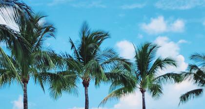 Vue directe sur l'océan. 4 / lit 3 / salle de bain 10 personnes. Piscine personnelle H / C, Free Dock!