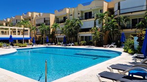 Area piscina di un hotel con diverse poltrone prendisole, palme e una piscina cristallina.