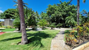 Un giardino curato con vialetto in pietra, palme e diverse piante.