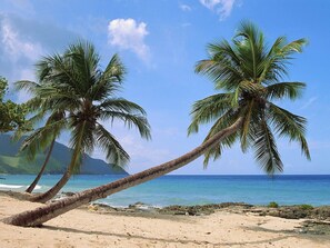 A beach with two palm trees and a clear blue sky.