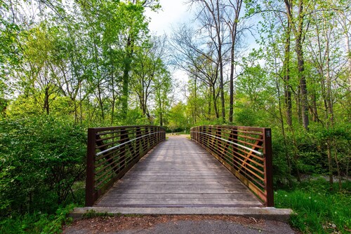 2 olohuonetta, oma takapiha, pysäköinti