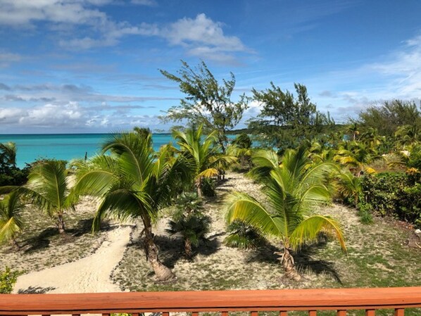 A tropical beach with palm trees and a clear blue sky. - LARGE 4 Bed/4Bath BEACHFRONT APARTMENT SLEEPS 8 and directly  on HOOPERS BAY (Georgetown)
