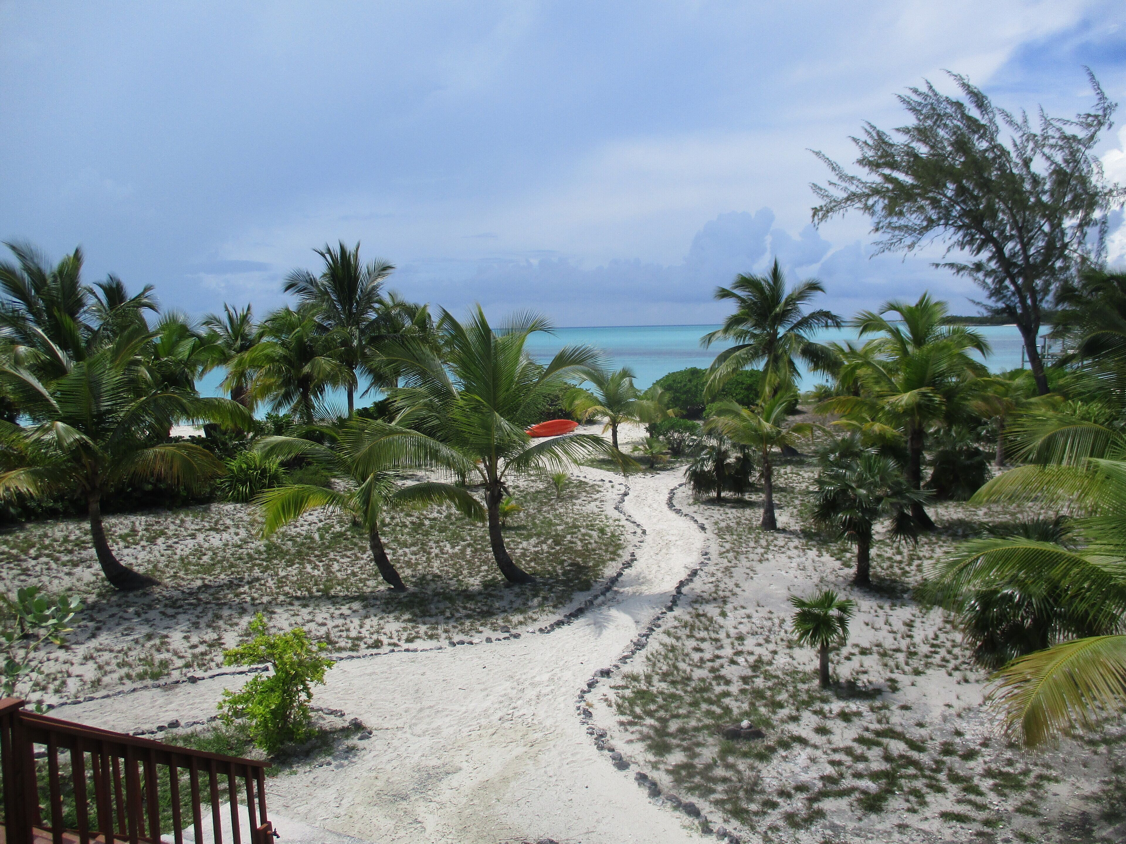 A beach path surrounded by palm trees leading to the ocean.