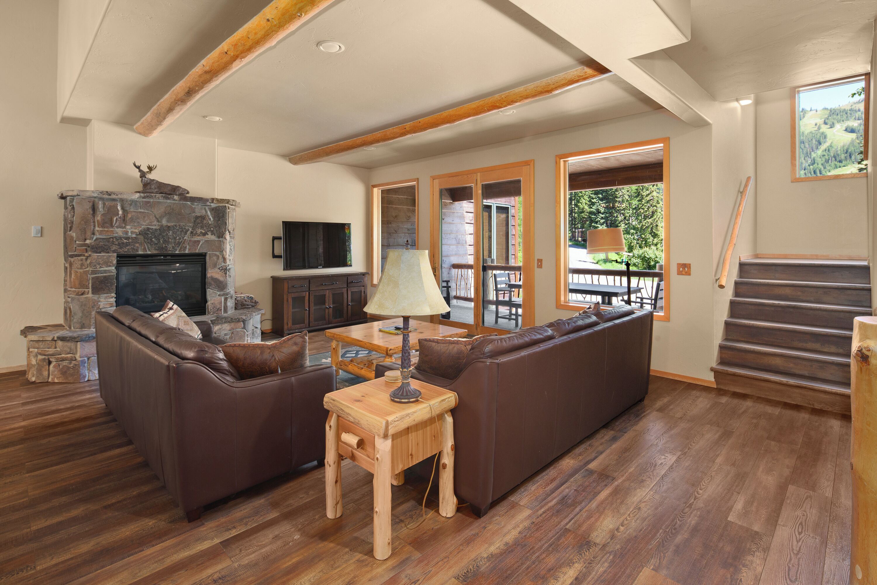 Smart-tv, pejs, bøger