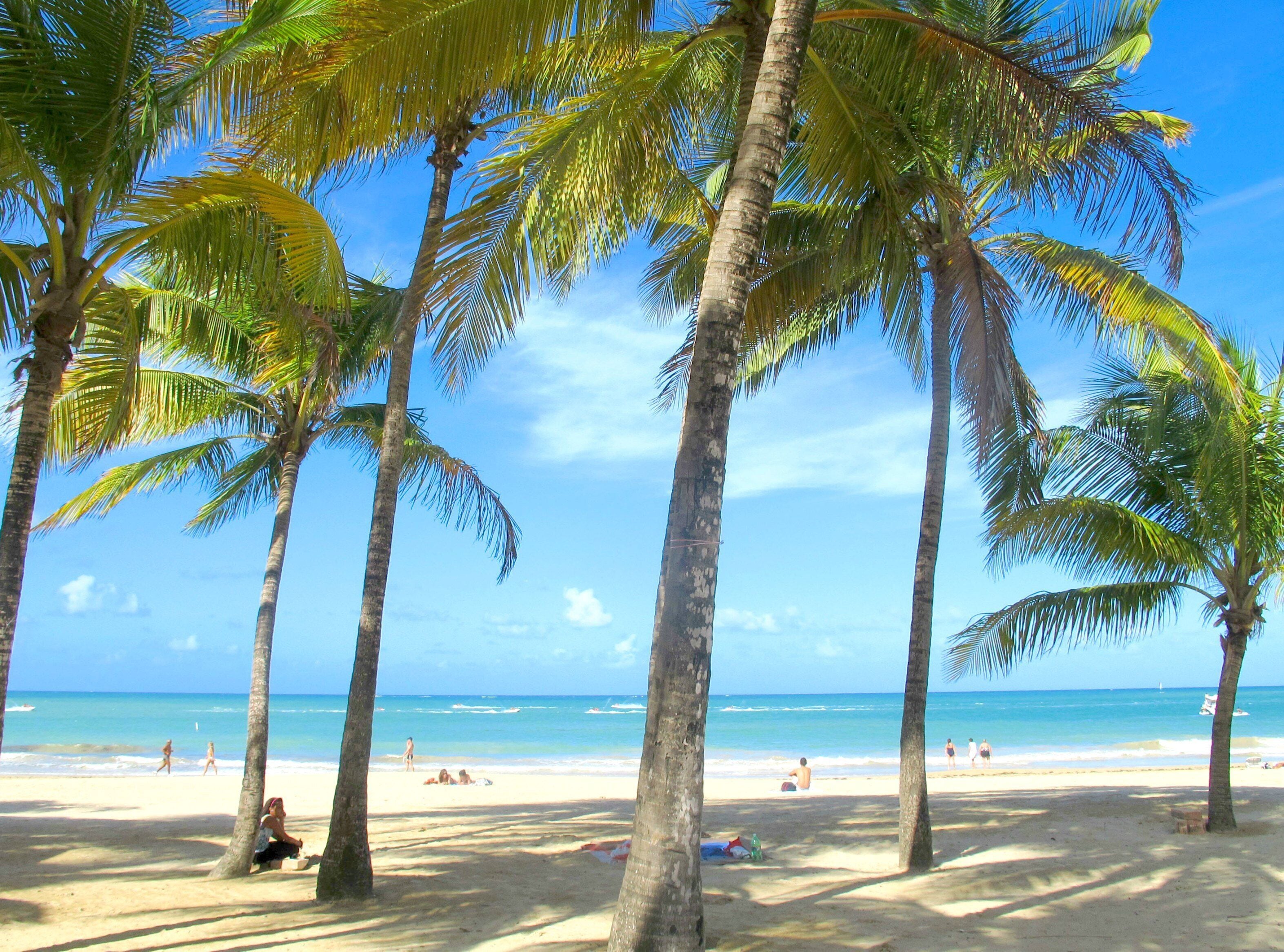 Am Strand, Sonnenschirme