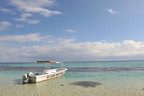 Serviettes de plage