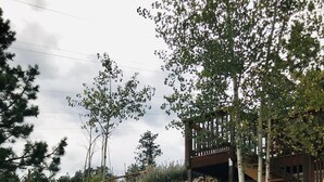 Een aangelegde tuin met een houten terras, stenen trappen en een metalen hek.