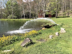 Terrain de l’hébergement 