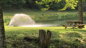 Ein Park mit einem Teich, einem hölzernen Picknicktisch und einem Baumstumpf.
