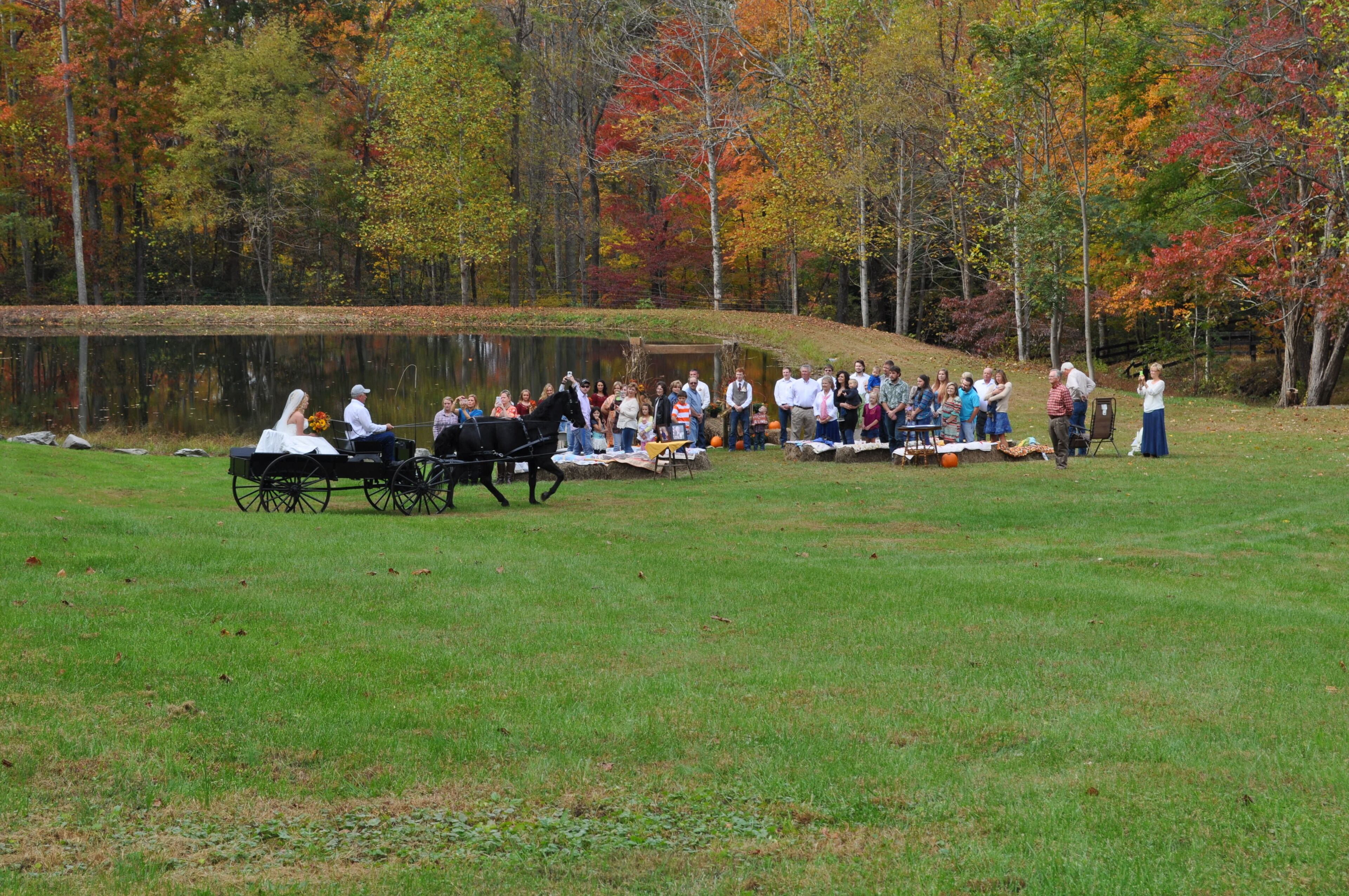 A group of people gathered around a lake with a horse-drawn carriage, trees with autumn foliage in the background.
