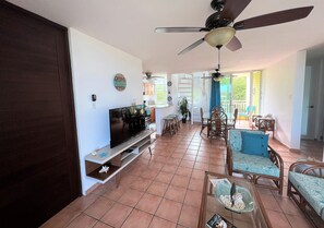 Smart TV, DVD player, books, stereo