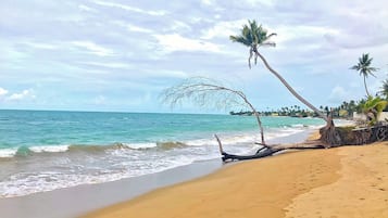 Playa en los alrededores y toallas de playa