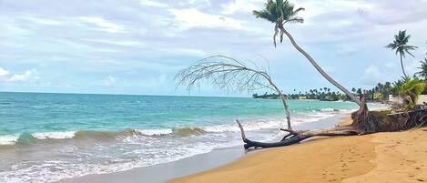 Plage à proximité, serviettes de plage