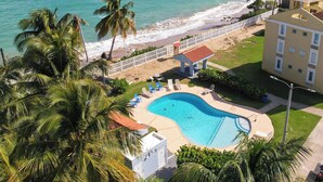 Una piscina rodeada de palmeras, una playa y un edificio con balcones.