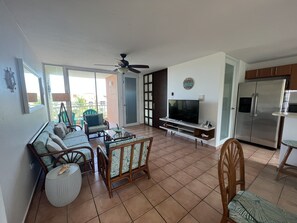 Smart TV, DVD player, books, stereo