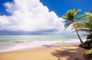 Une plage à l’eau turquoise et limpide, avec un rivage sablonneux et un palmier.