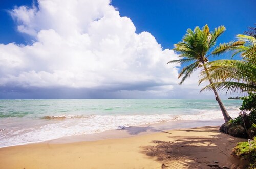 Schön! Puerto Rico Getaway Beachfront Penthouse