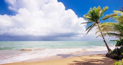 Schön! Puerto Rico Getaway Beachfront Penthouse