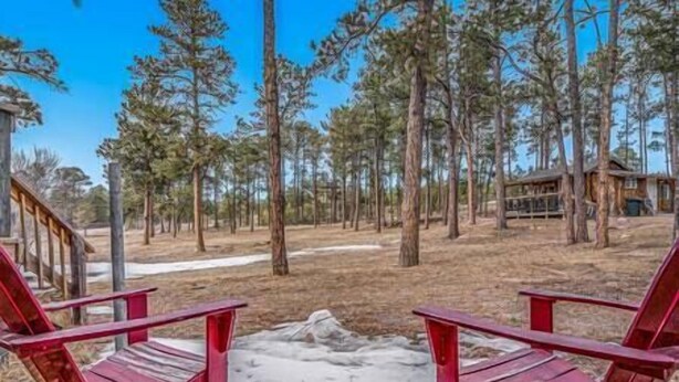 A cabin with a deck, surrounded by tall pine trees and a clear sky. - Black Forest Colorado Log Cabin (Black Forest)