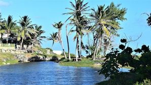 A river with palm trees and a building with a balcony.