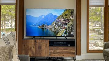 TV connectée, cheminée, lecteur de DVD, vidéothÚque