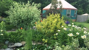 Um jardim com diversas plantas e flores, um pequeno lago com nenúfares, e uma casa azul com telhado branco ao fundo.