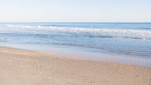 Une plage avec un rivage sablonneux et des vagues douces.