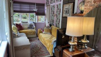 TV, DVD player, books, video library