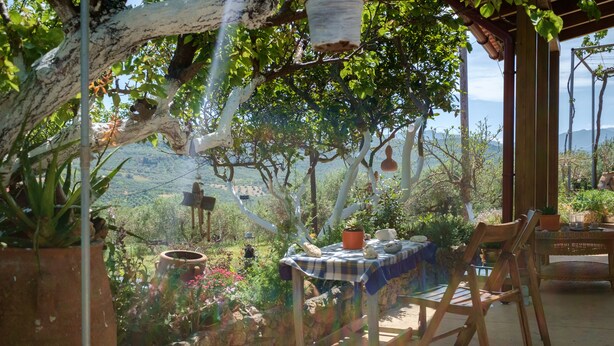 Un espacio al aire libre rústico con una mesa y sillas, rodeado de plantas en macetas y un muro de piedra.