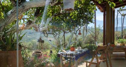 Traditional Cretan Family Home