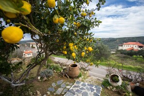 Un sentier de pierres mène à une maison rustique à toit rouge, entourée d’un citronnier et d’un grand pot en terre cuite.