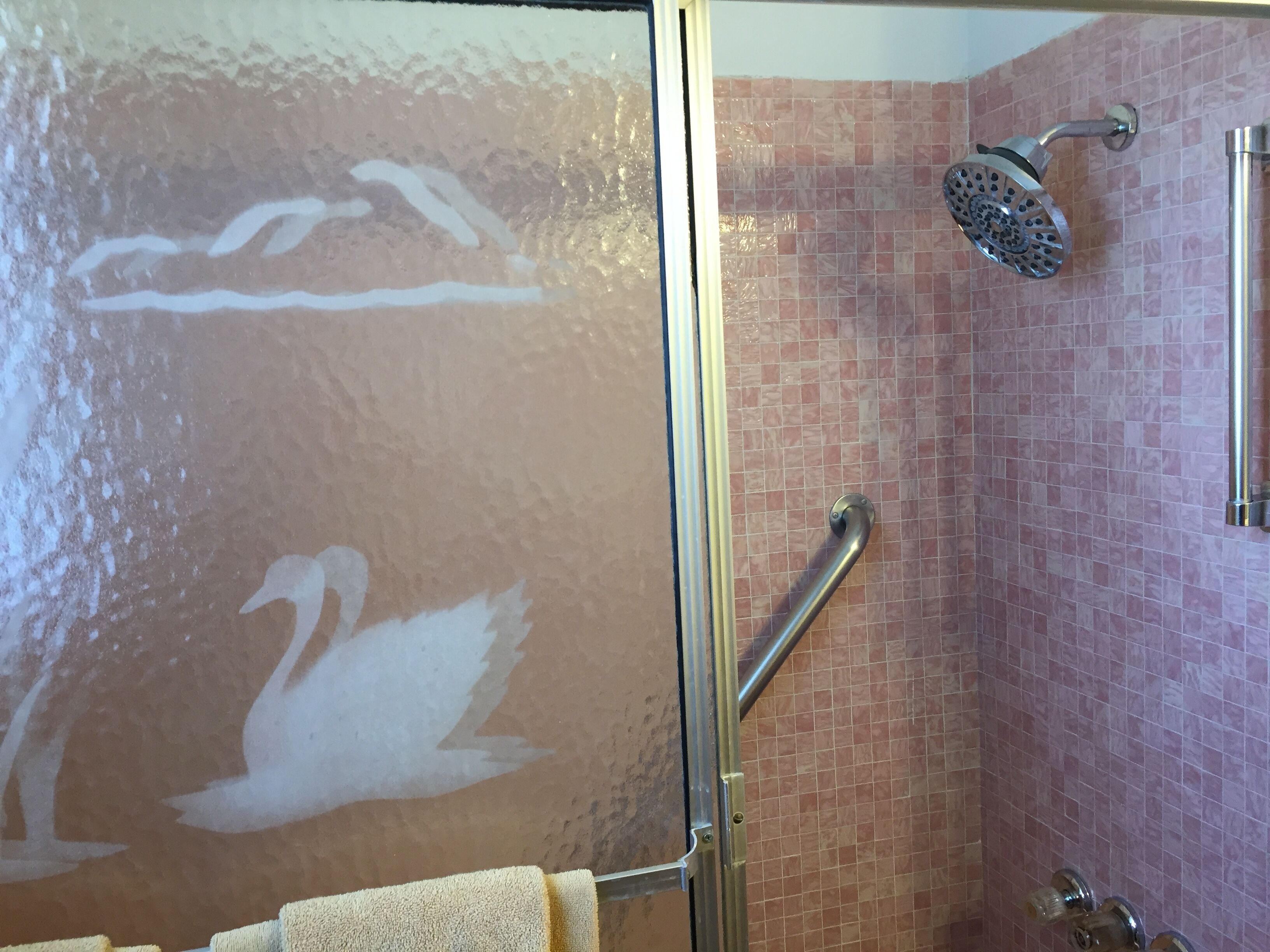 A shower with a handheld showerhead and a grab bar.