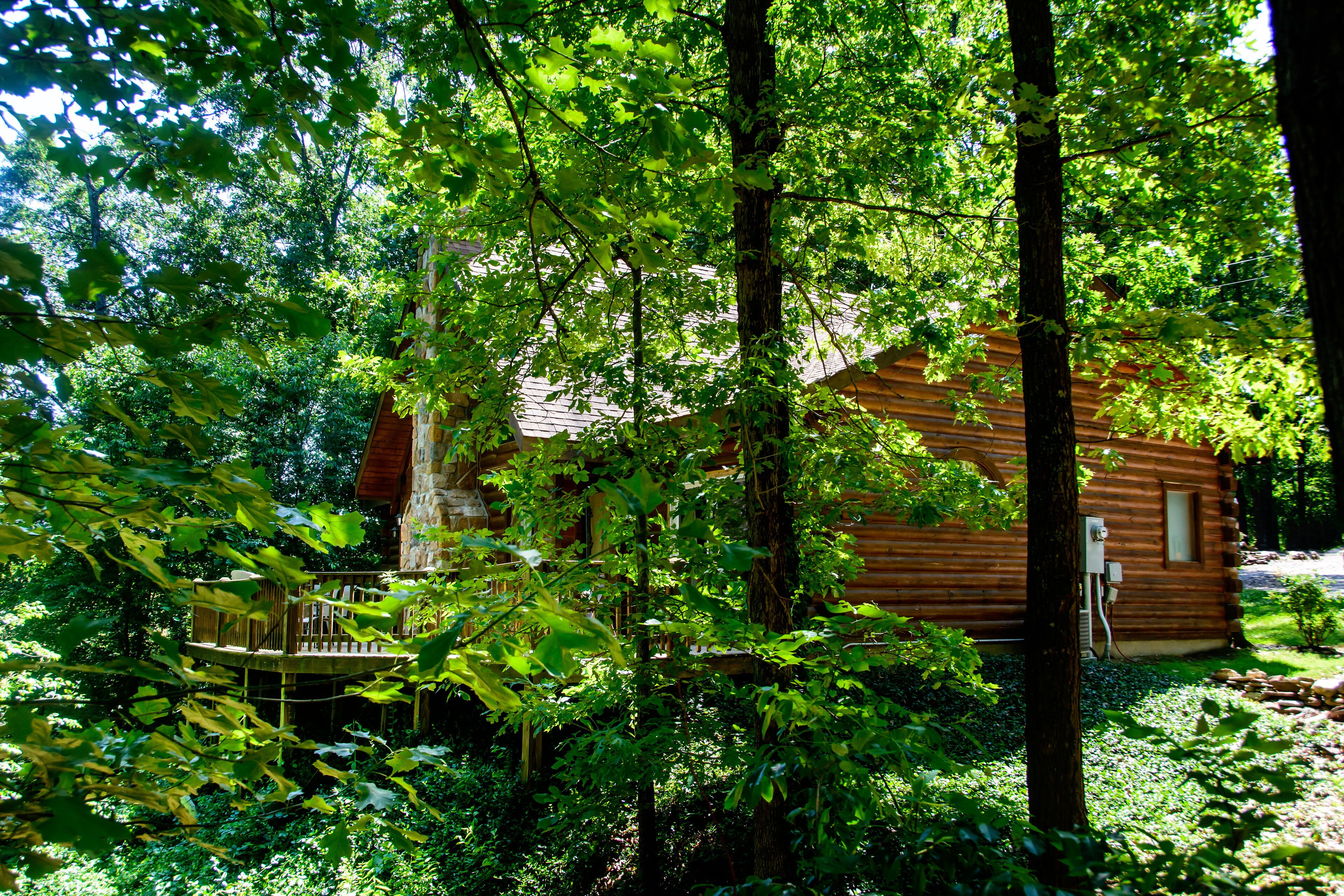 A wooden cabin surrounded by dense foliage.